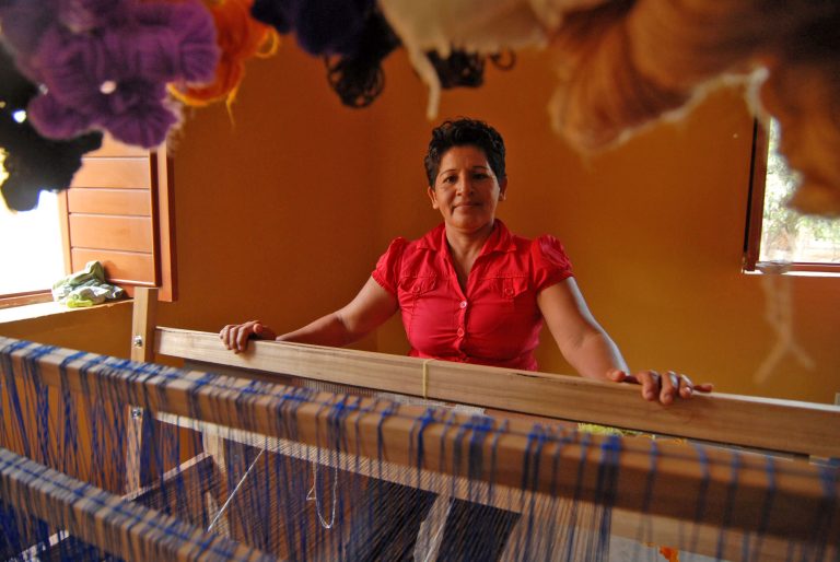 emprendimientos1