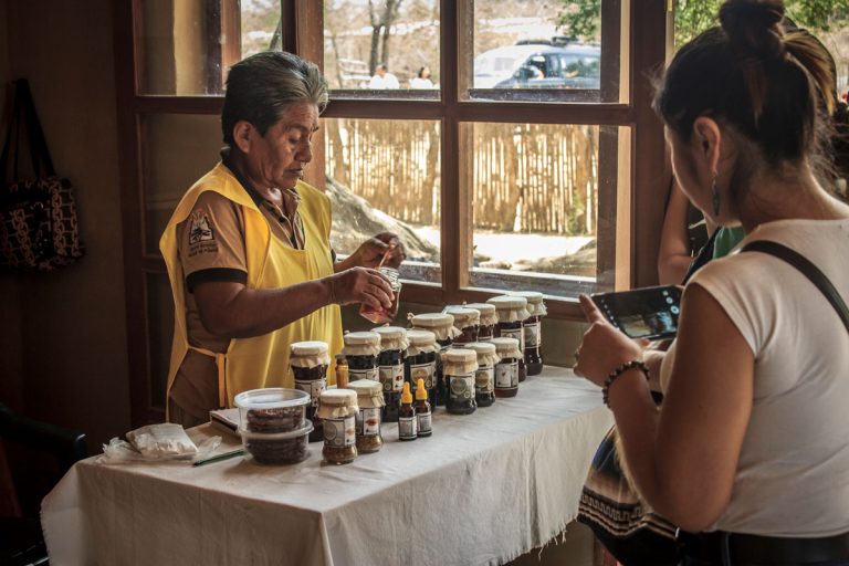 emprendimientos8